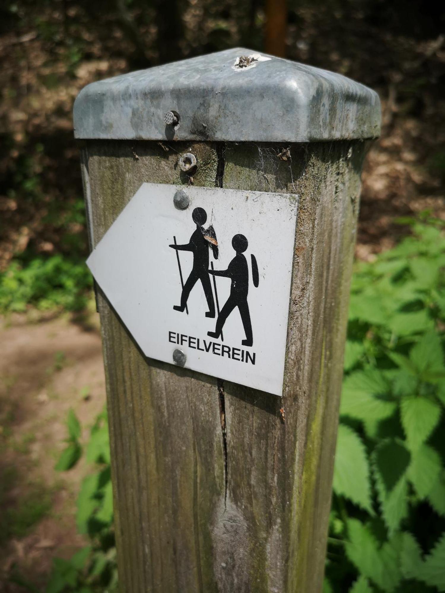Ferienwohnung In Waldrandlage In Nationalpark Schleiden / Eifel Dış mekan fotoğraf