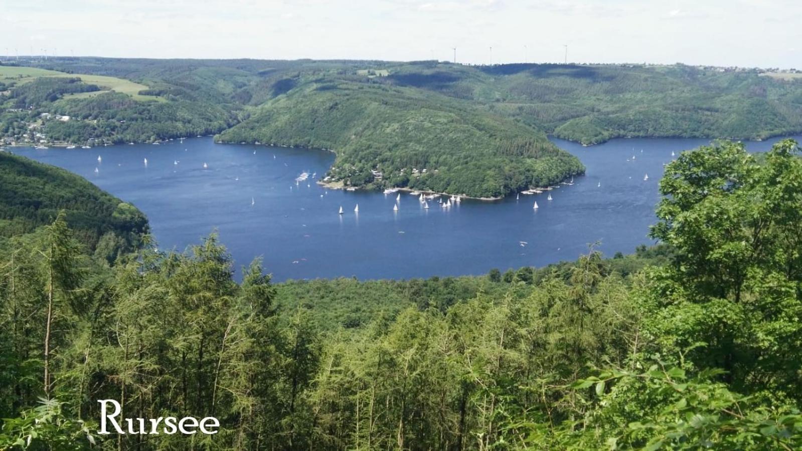 Ferienwohnung In Waldrandlage In Nationalpark Schleiden / Eifel Dış mekan fotoğraf