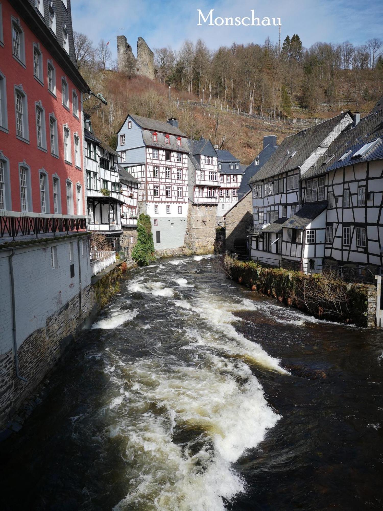 Ferienwohnung In Waldrandlage In Nationalpark Schleiden / Eifel Dış mekan fotoğraf