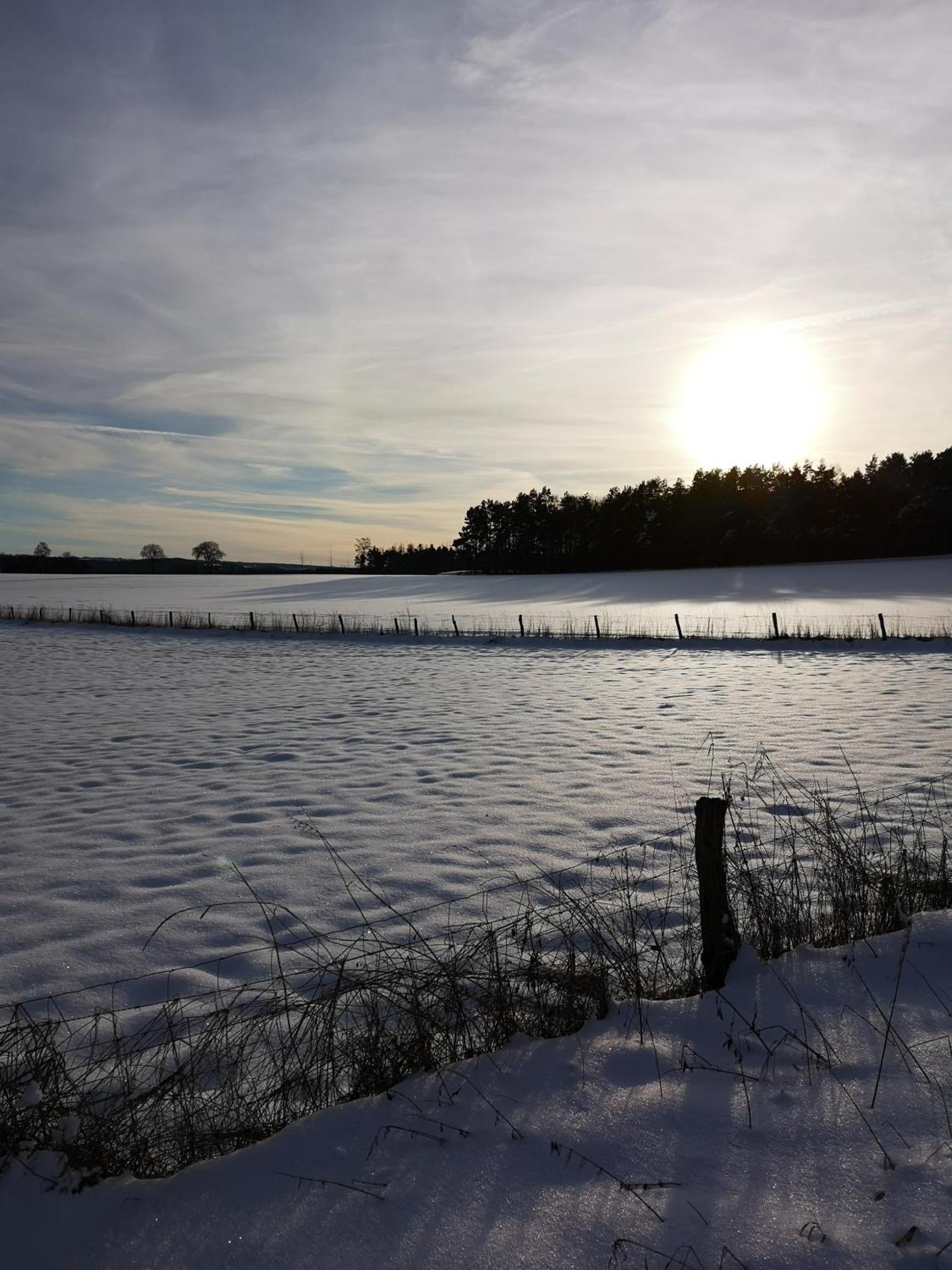 Ferienwohnung In Waldrandlage In Nationalpark Schleiden / Eifel Dış mekan fotoğraf