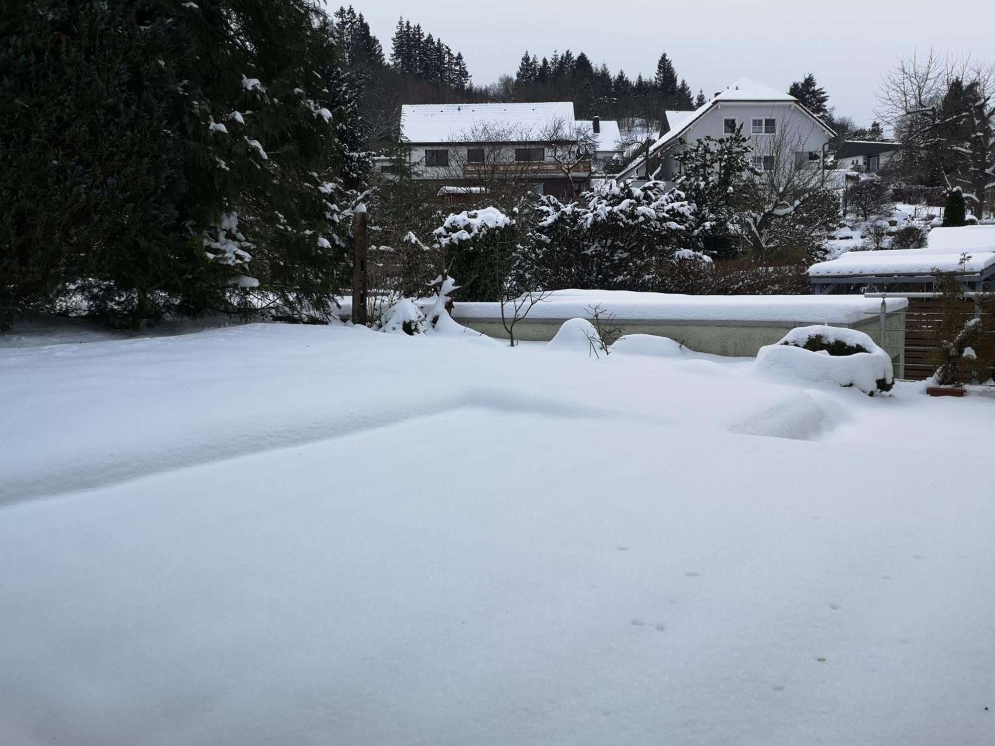 Ferienwohnung In Waldrandlage In Nationalpark Schleiden / Eifel Dış mekan fotoğraf