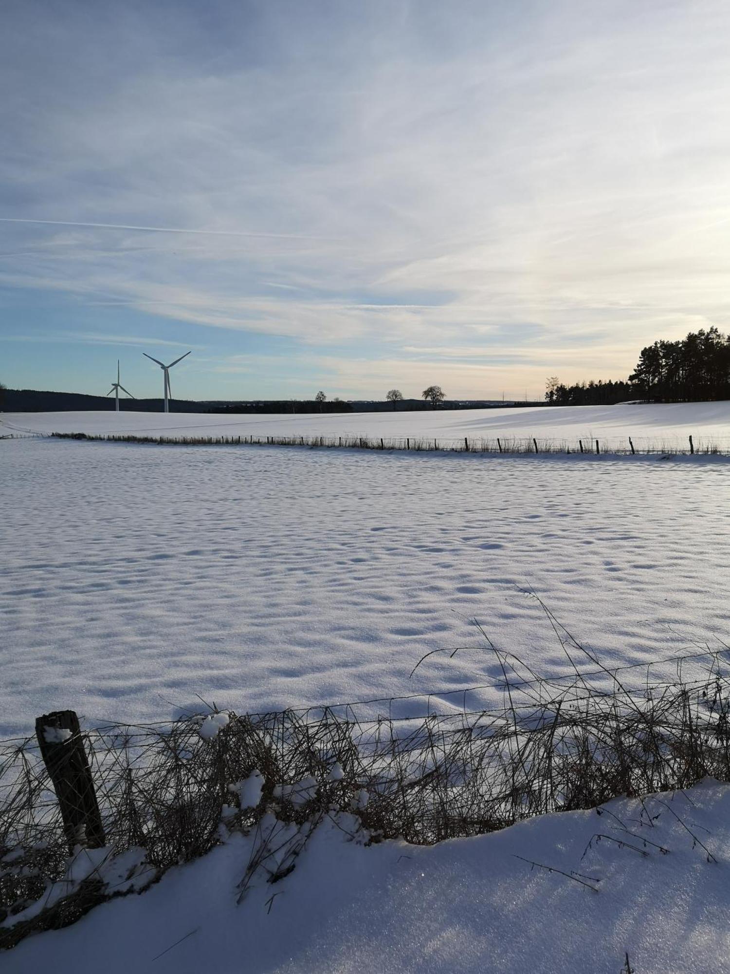 Ferienwohnung In Waldrandlage In Nationalpark Schleiden / Eifel Dış mekan fotoğraf