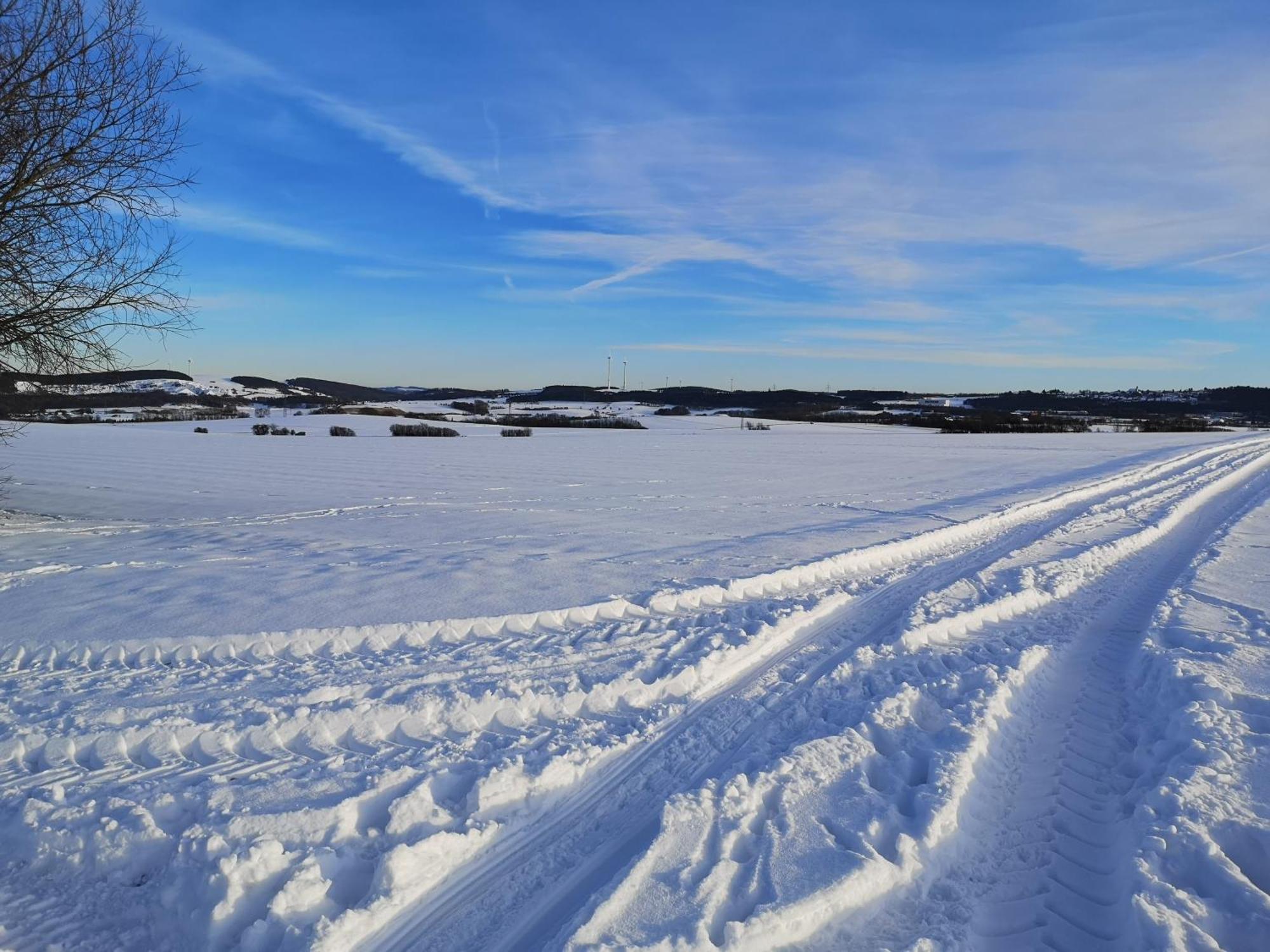 Ferienwohnung In Waldrandlage In Nationalpark Schleiden / Eifel Dış mekan fotoğraf