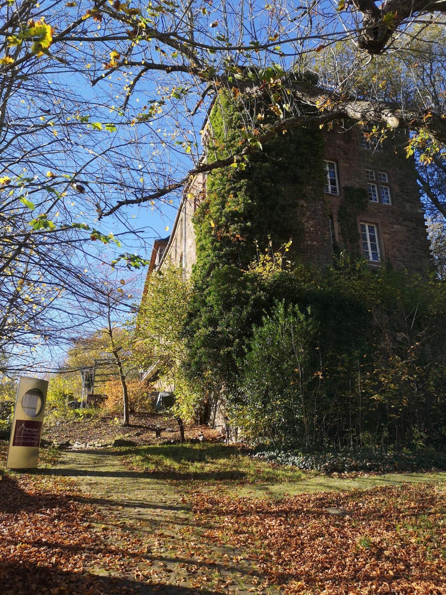 Ferienwohnung In Waldrandlage In Nationalpark Schleiden / Eifel Dış mekan fotoğraf
