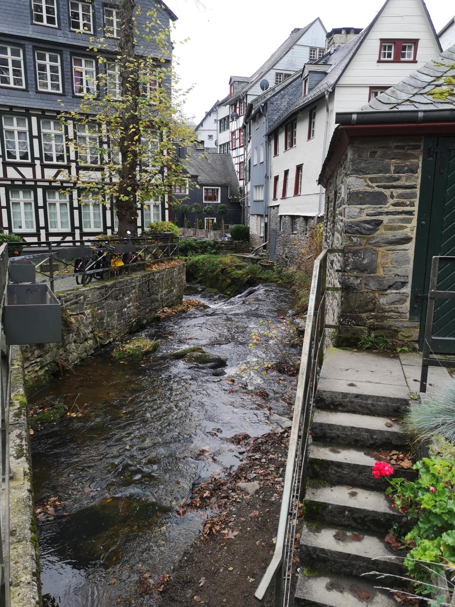 Ferienwohnung In Waldrandlage In Nationalpark Schleiden / Eifel Dış mekan fotoğraf