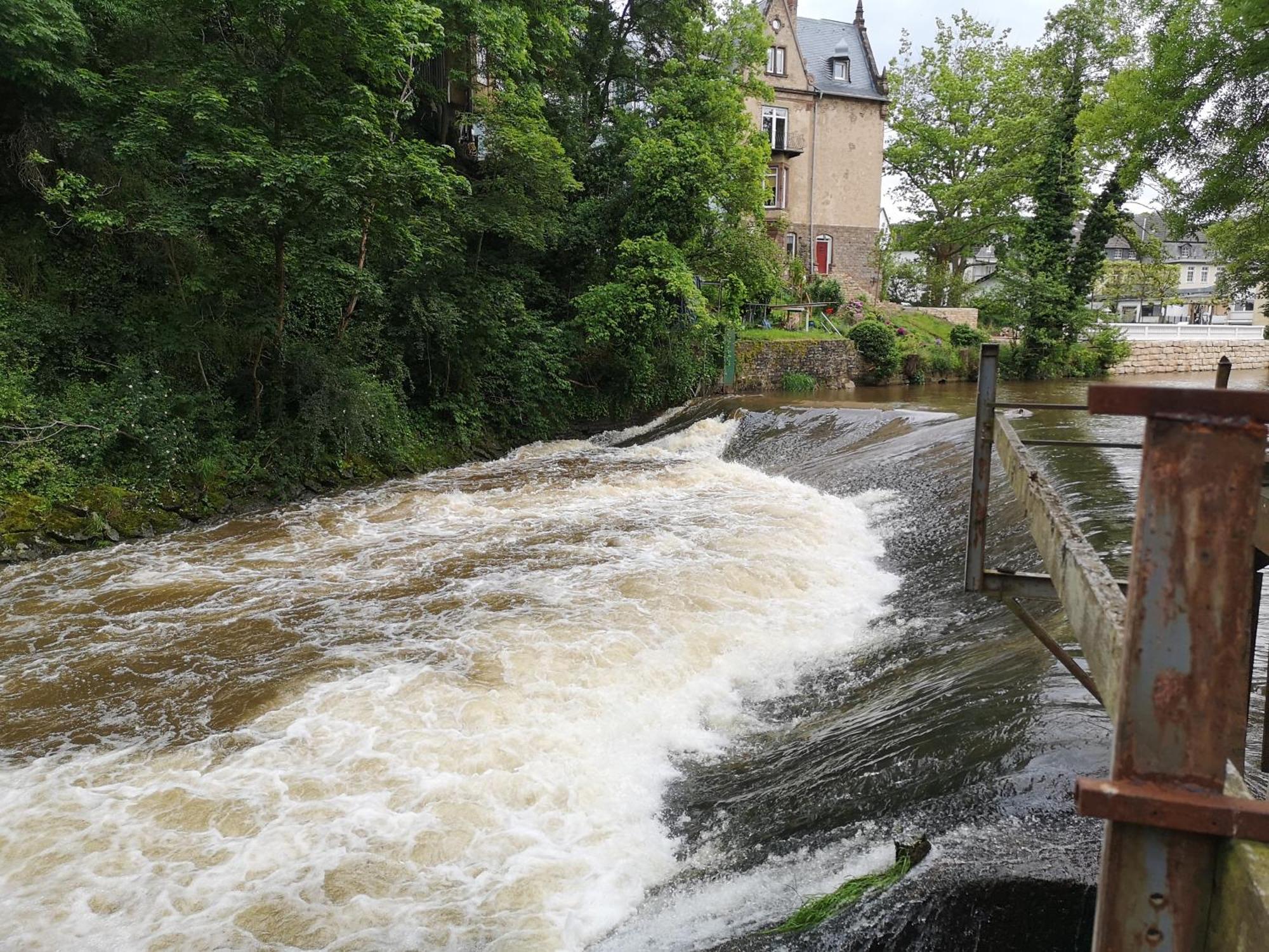 Ferienwohnung In Waldrandlage In Nationalpark Schleiden / Eifel Dış mekan fotoğraf