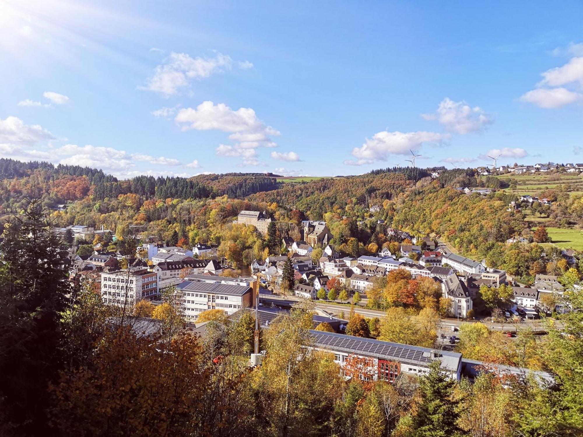Ferienwohnung In Waldrandlage In Nationalpark Schleiden / Eifel Dış mekan fotoğraf