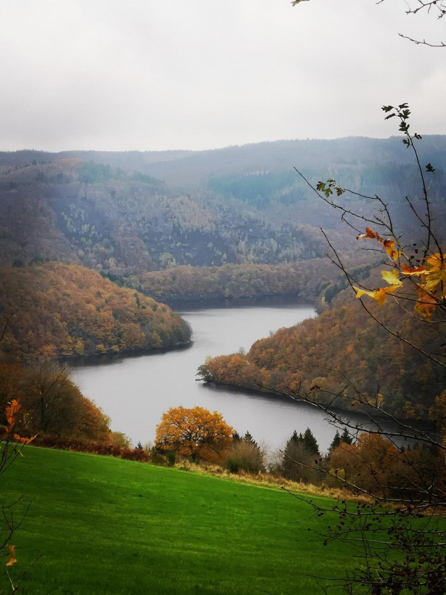 Ferienwohnung In Waldrandlage In Nationalpark Schleiden / Eifel Dış mekan fotoğraf