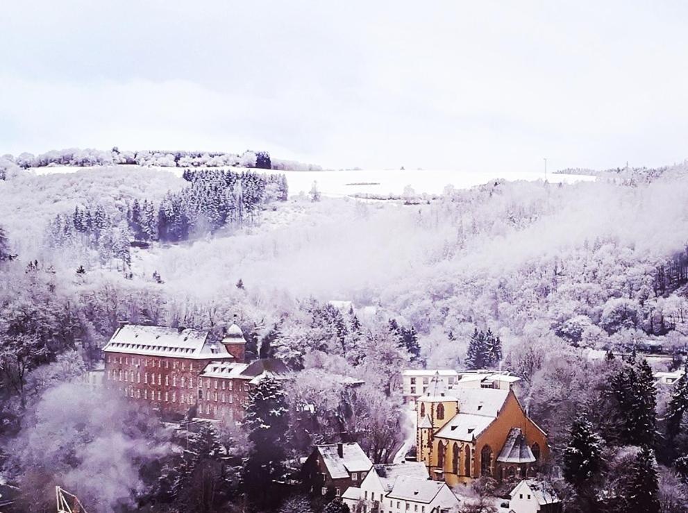 Ferienwohnung In Waldrandlage In Nationalpark Schleiden / Eifel Dış mekan fotoğraf