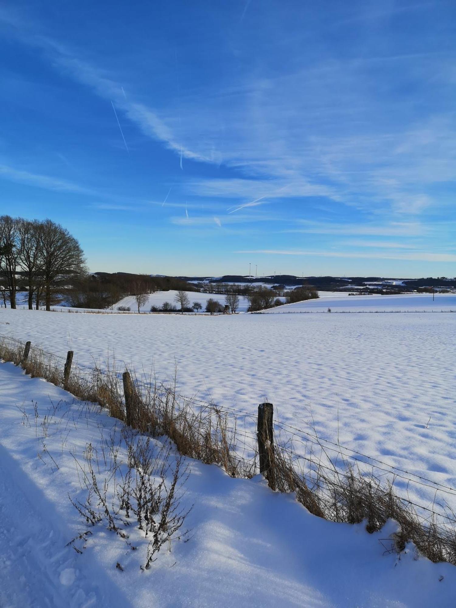 Ferienwohnung In Waldrandlage In Nationalpark Schleiden / Eifel Dış mekan fotoğraf