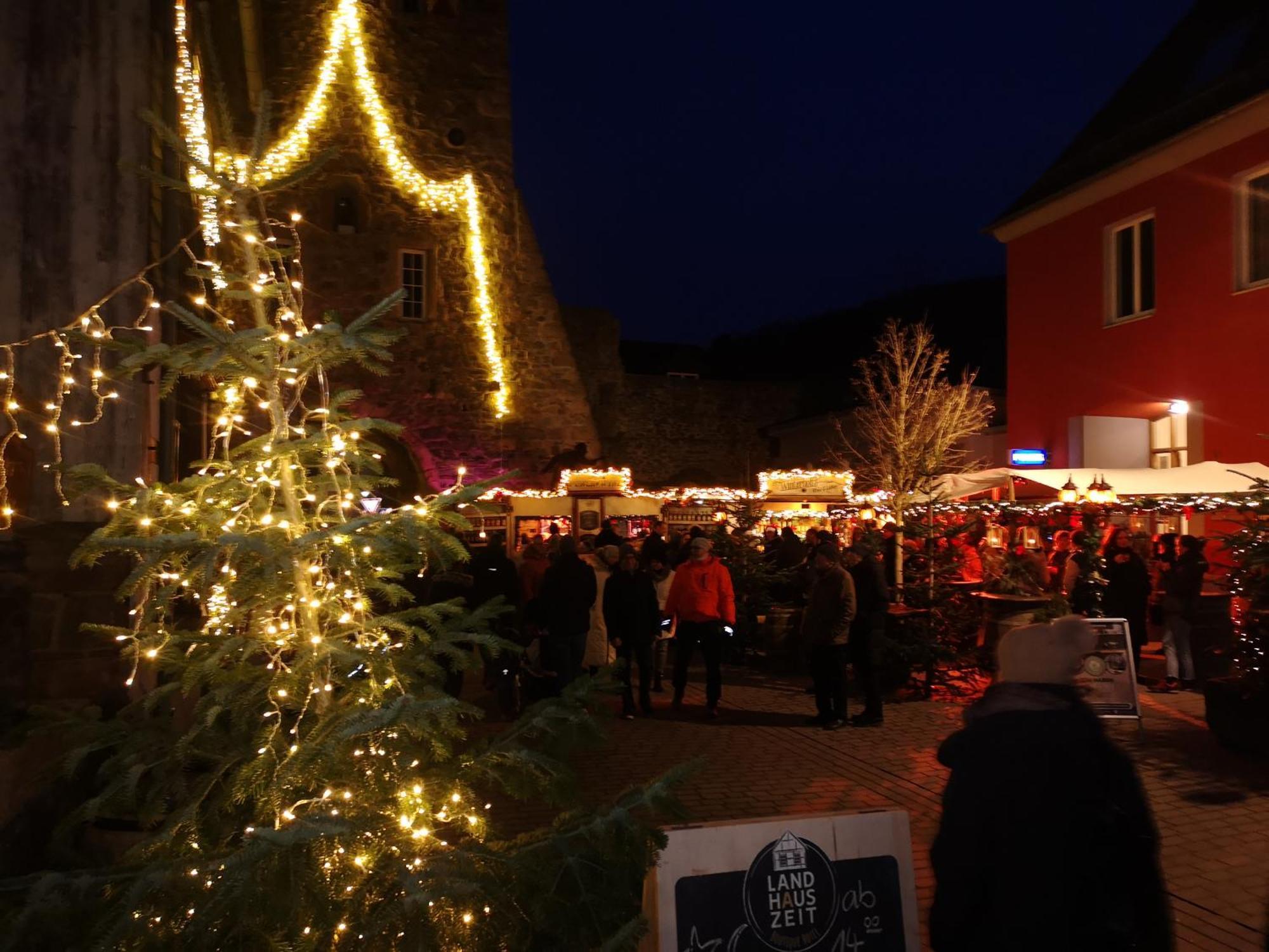 Ferienwohnung In Waldrandlage In Nationalpark Schleiden / Eifel Dış mekan fotoğraf